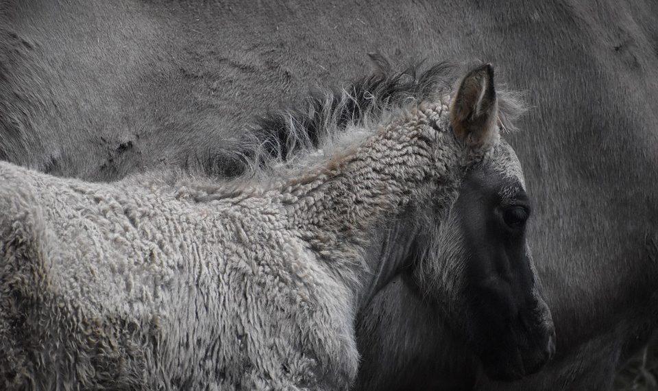 7 Simple Steps to Transform Your Mindful Living Today