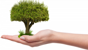 7 Simple Tips for Optimal Bladder Health Today