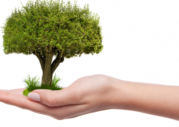 7 Simple Tips for Optimal Bladder Health Today