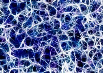 7 Simple Ways to Boost Your Nervous System Health