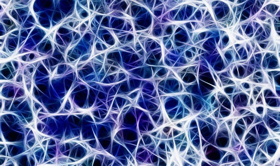 7 Simple Ways to Boost Your Nervous System Health