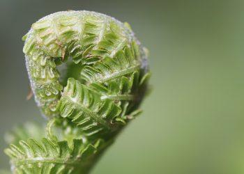 7 Simple Wellness Tips for a Happier You