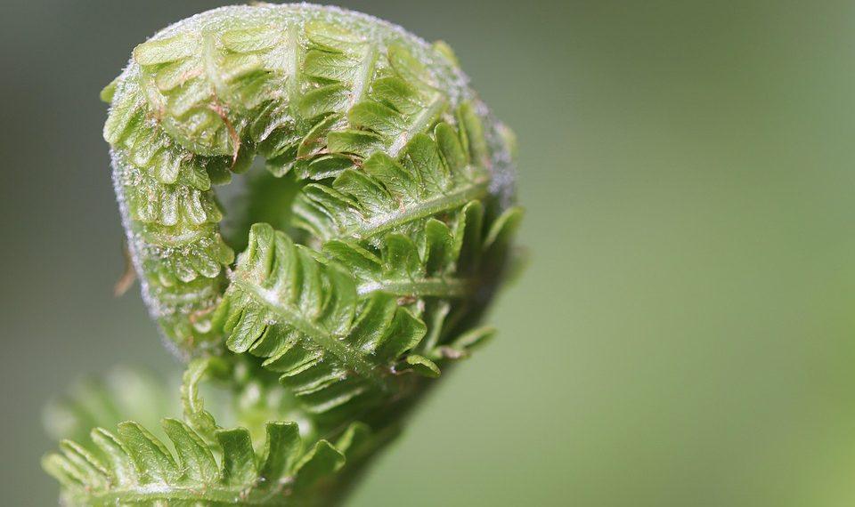 7 Simple Wellness Tips for a Happier You