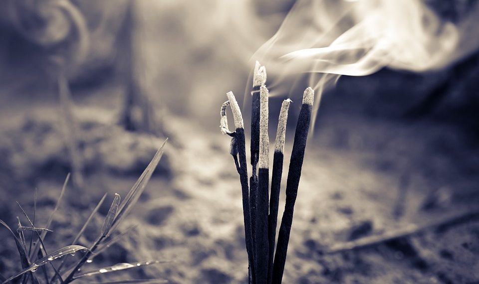 7 Simple Wellness Tips to Boost Your Focus Today