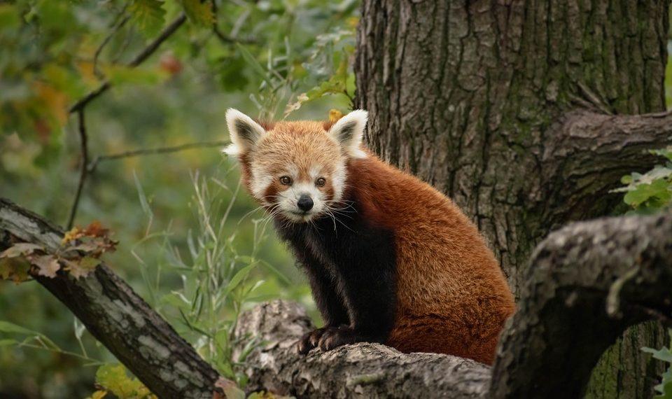 7 Sleep Calm Remedies That Actually Work Wonders