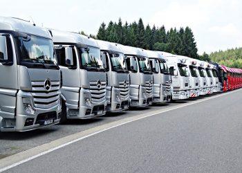 7 Sleep Support Formulas for Restful Nights