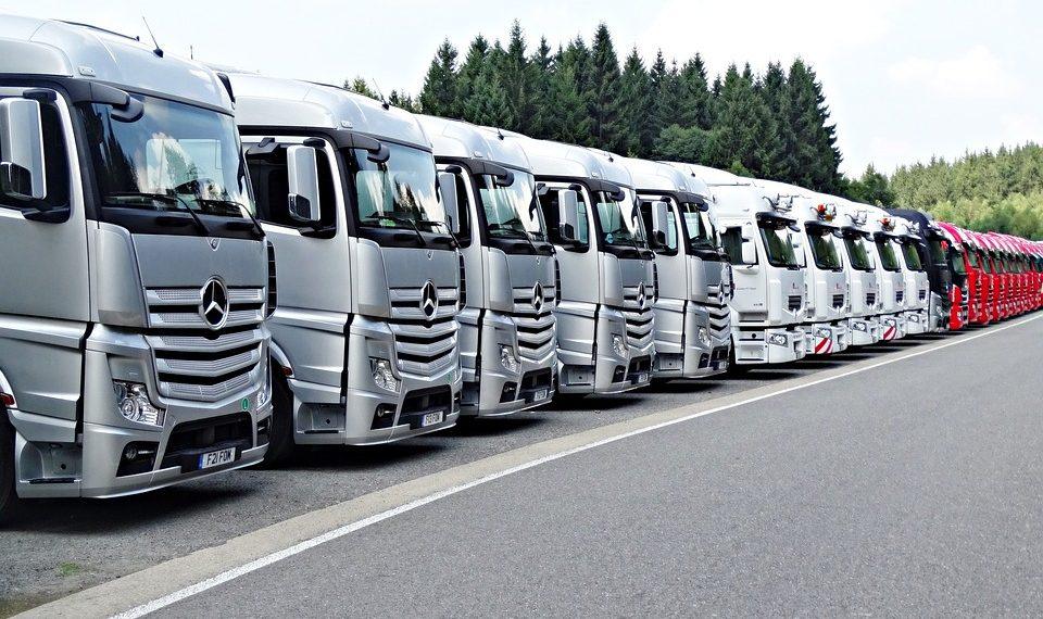 7 Sleep Support Formulas for Restful Nights