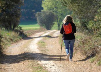 7 Steps to Transform Your Wellness Journey Today