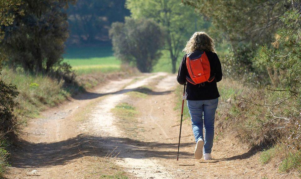 7 Steps to Transform Your Wellness Journey Today