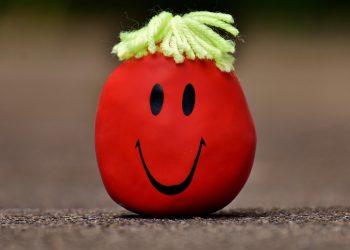 7 Stress Adaptogens That Will Transform Your Well-Being