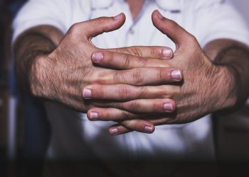 7 Stress Adaptogens to Transform Your Well-Being Today