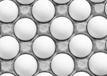 7 Superfoods That Boost Your Bone Health Instantly