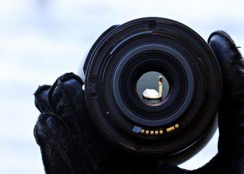 7 Superfoods for Ultimate Wellness You Need Today