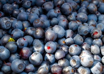 7 Superfoods to Boost Your Gut Health Today!