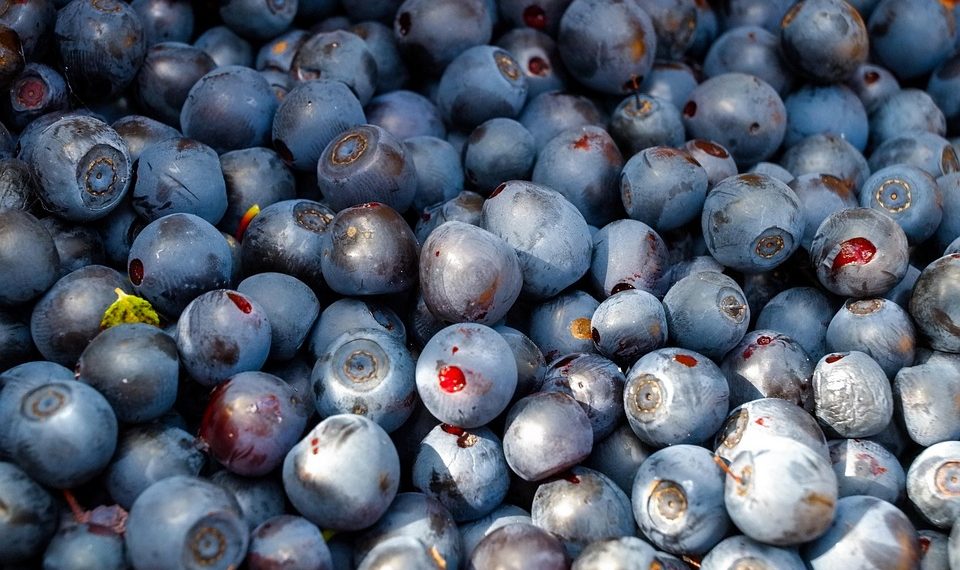 7 Superfoods to Boost Your Gut Health Today!