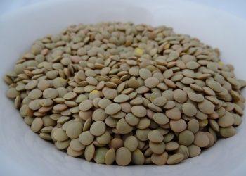 7 Superfoods to Supercharge Your Brain Power