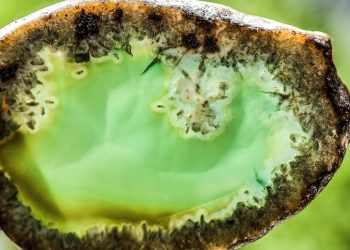 7 Surprising Benefits of Alternative Healing You Didn't Know