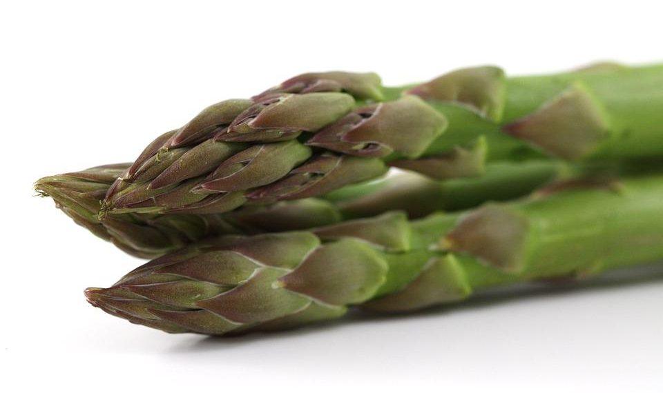 7 Surprising Benefits of Appetite Suppressants You Need