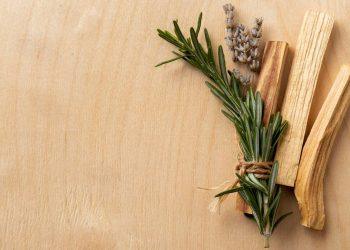 7 Surprising Benefits of Ashwagandha You Need to Know