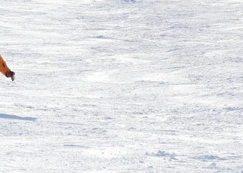 7 Surprising Benefits of BHB Powder You Need to Know