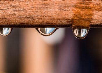 7 Surprising Benefits of Fiber Supplements You Must Know