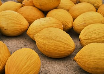 7 Surprising Benefits of Going Organic Today!