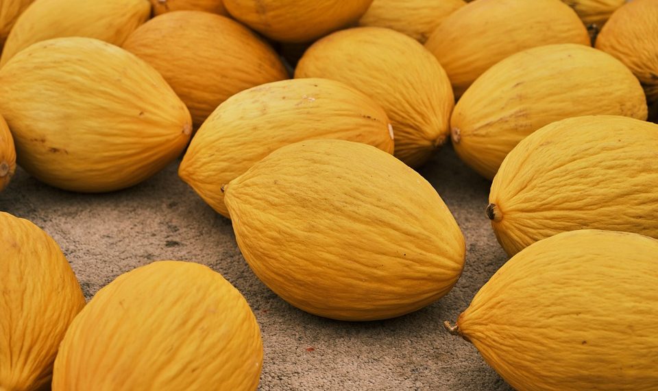 7 Surprising Benefits of Going Organic Today!