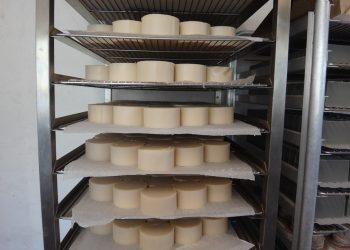 7 Surprising Benefits of Hydrolyzed Collagen You Need to Know