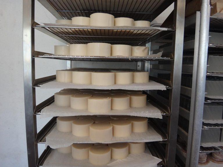 7 Surprising Benefits of Hydrolyzed Collagen You Need to Know