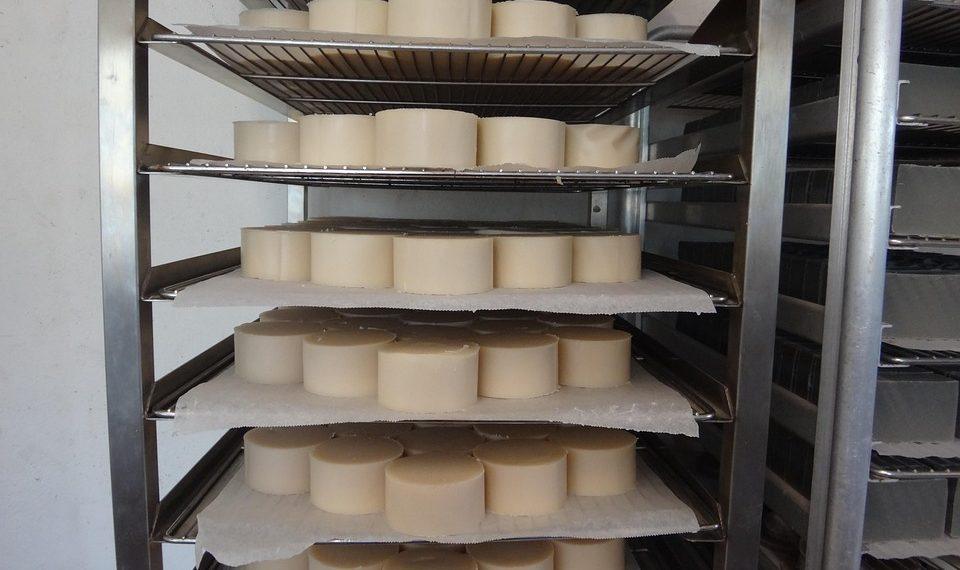 7 Surprising Benefits of Hydrolyzed Collagen You Need to Know