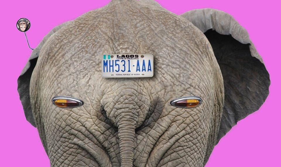 7 Surprising Benefits of Intermittent Fasting You Need to Know