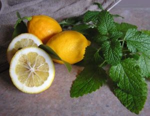 7 Surprising Benefits of Lemon Balm for Ultimate Relaxation