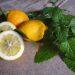7 Surprising Benefits of Lemon Balm for Ultimate Relaxation