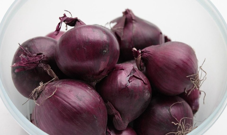 7 Surprising Benefits of Moringa Antioxidants You Need to Know