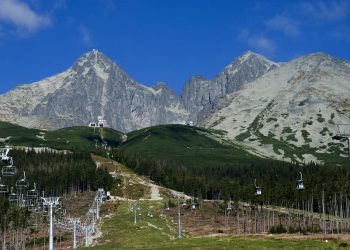 7 Surprising Benefits of Moringa Extract You Must Know