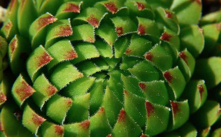 7 Surprising Benefits of Omega-3 Fatty Acids You Need to Know