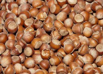 7 Surprising Benefits of Plant-Based Eating