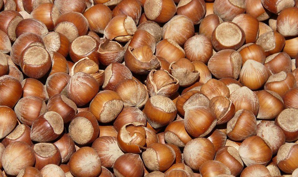 7 Surprising Benefits of Plant-Based Eating