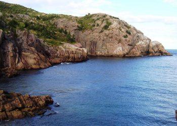 7 Surprising Foods That Boost Your Gut Health Fast