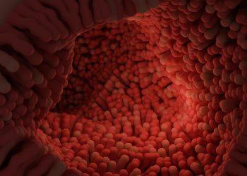 7 Surprising Foods for a Happier Gut