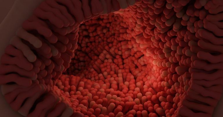 7 Surprising Foods for a Happier Gut