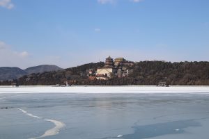 7 Surprising Habits for Lasting Longevity