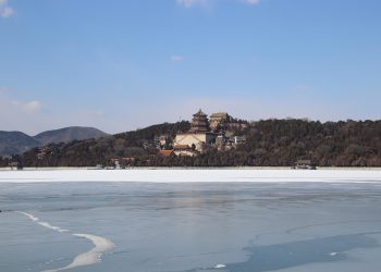 7 Surprising Habits for Lasting Longevity