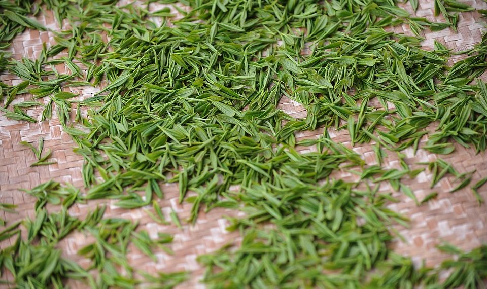 7 Surprising Health Benefits of Drinking Green Tea Daily