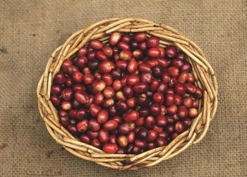 7 Surprising Ways Coffee Boosts Fat Burning Naturally