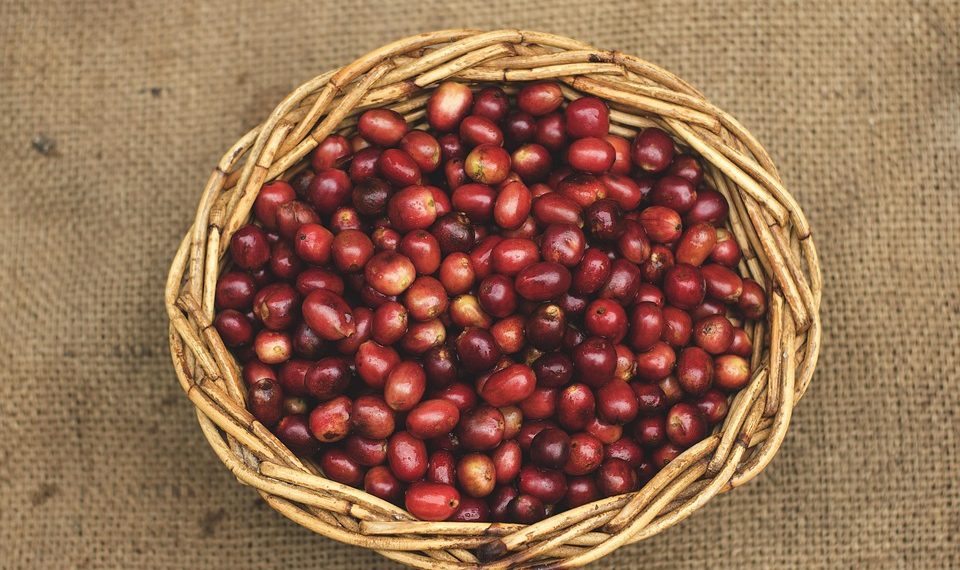 7 Surprising Ways Coffee Boosts Fat Burning Naturally