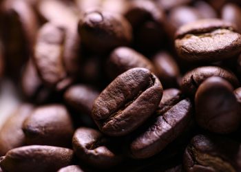 7 Surprising Ways Coffee Energy Boosts Your Day