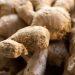 7 Surprising Ways Ginger Root Boosts Digestion