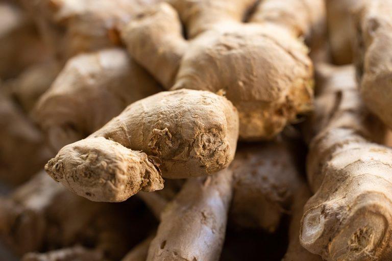 7 Surprising Ways Ginger Root Boosts Digestion