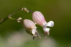 7 Tips for Effectively Managing Overactive Bladder Today